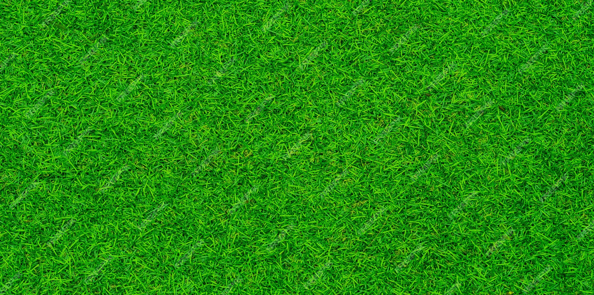 Beautiful 700 Green background grass in high quality