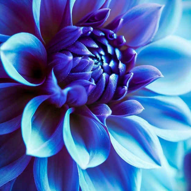 Premium AI Image | indigo dahlia macro photography