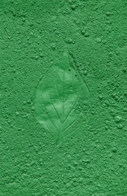 Leaves imprint on green powder natural cosmetic selective\
focus