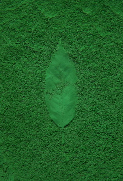 Leaves imprint on green powder natural cosmetic selective\
focus