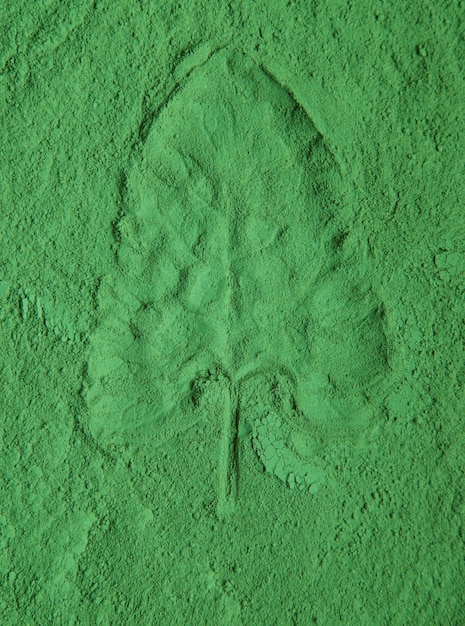 Leaves imprint on green powder natural cosmetic selective\
focus