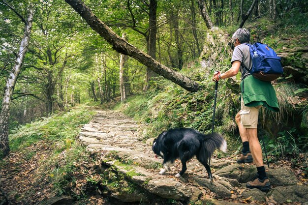 Premium Photo | Man and his dog walking in the mountain forest friends ...