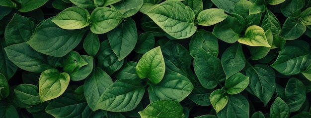 Premium Photo | Vibrant Green Leafy Texture for Natural Backdrops