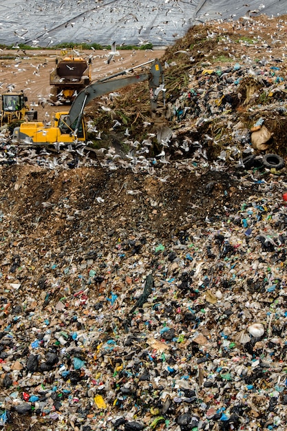 View of a massive trash dump site, result of the human\
activity.