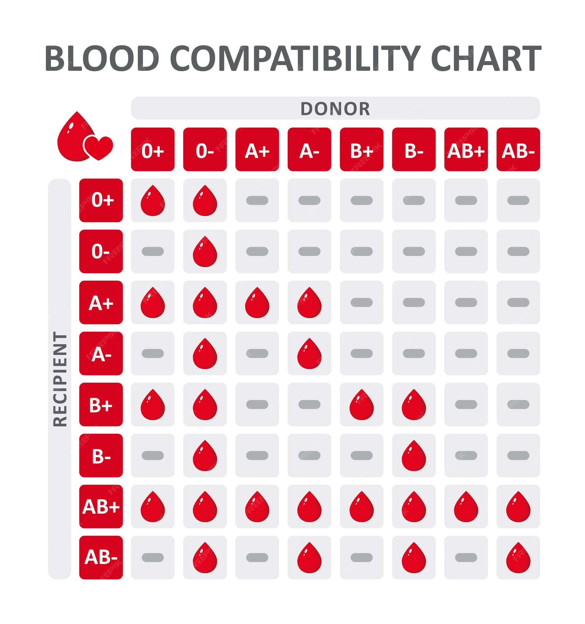 Premium Vector | Blood group compatibility table