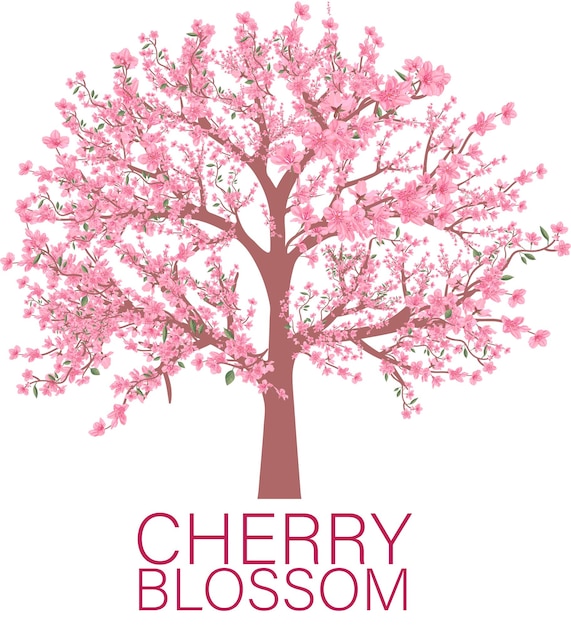 Premium Vector | Cherry blossom, cherry blossom flower, branches ...