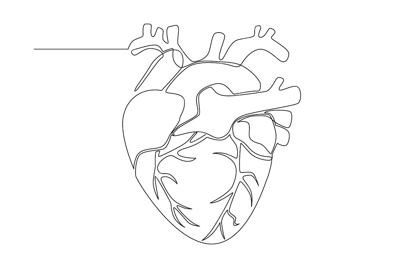 Premium Vector | One simple line concept of human body organs, heart ...