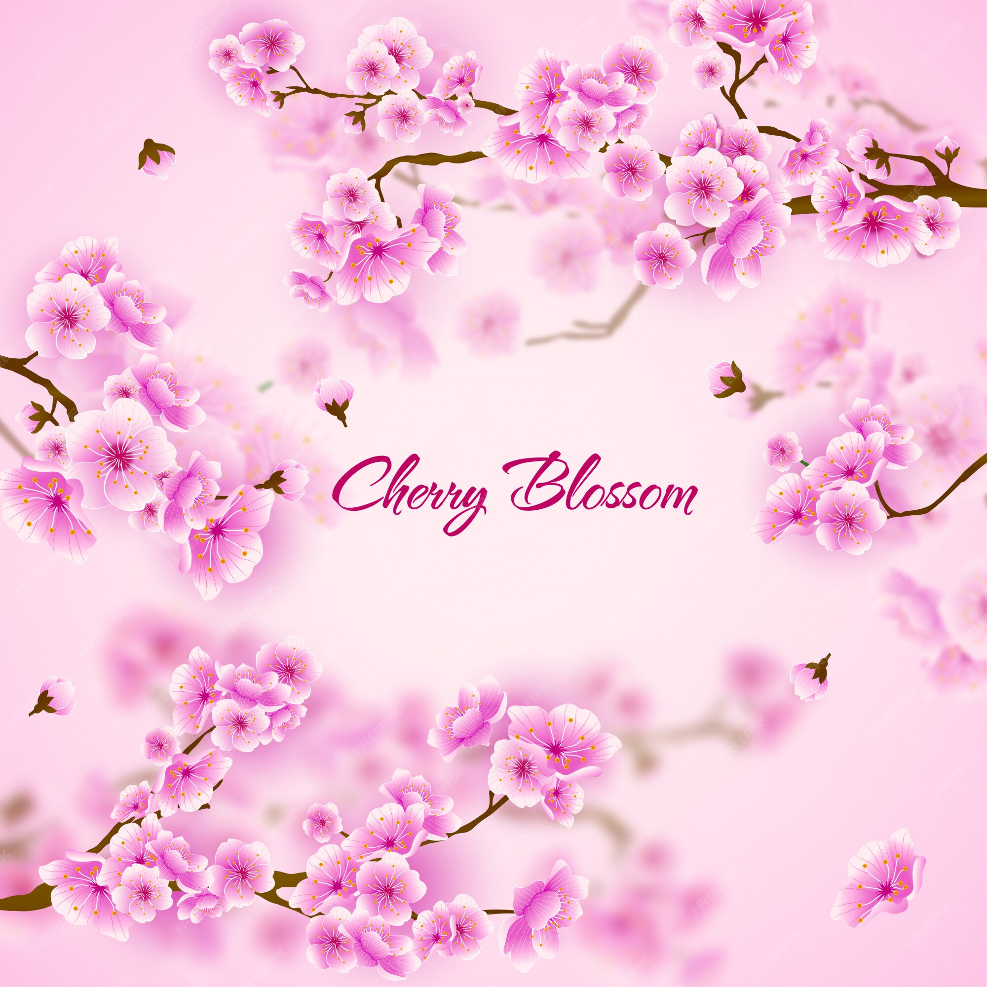 Premium Vector | Pink cherry blossom sakura floral background