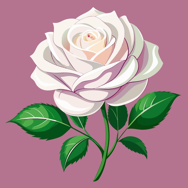 Premium Vector | Realistic rose clip art vector illustration