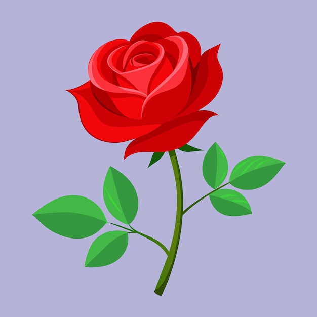 Premium Vector | Realistic rose clip art vector illustration