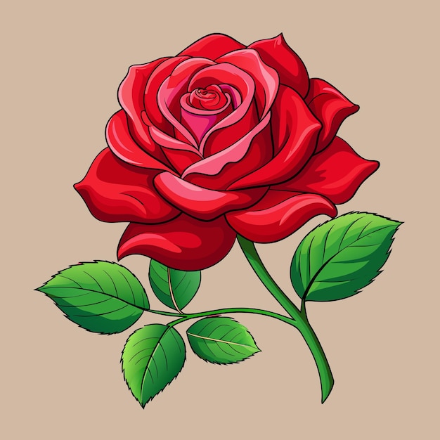 Premium Vector | Realistic rose clip art vector illustration