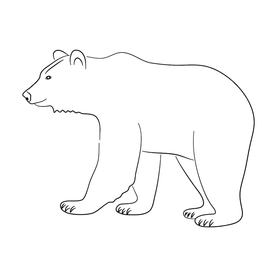 Premium Vector | Silhouette of a brown bear made in sketch style vector ...