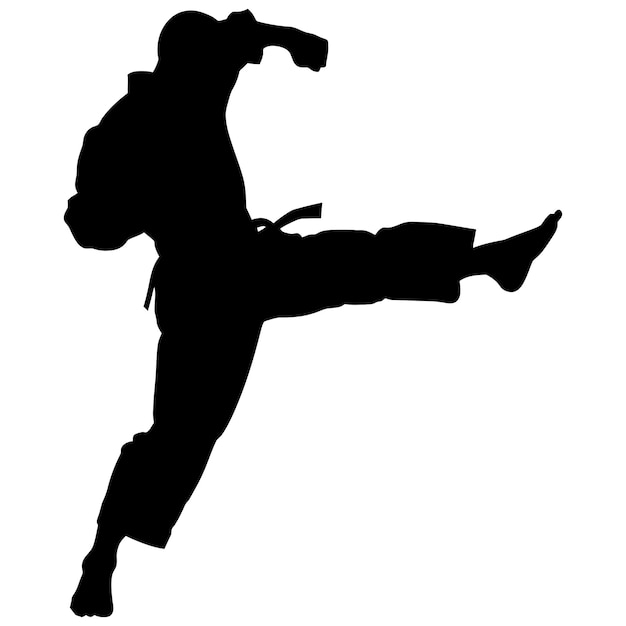 Premium Vector | Silhouette tae kwon do or karate kick full body black ...