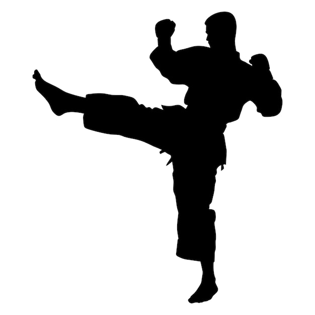 Premium Vector | Silhouette tae kwon do or karate kick full body black ...