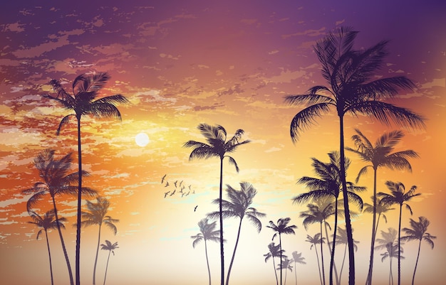 Premium Vector | Silhouette of tropical palm trees at sunset or sunrise ...