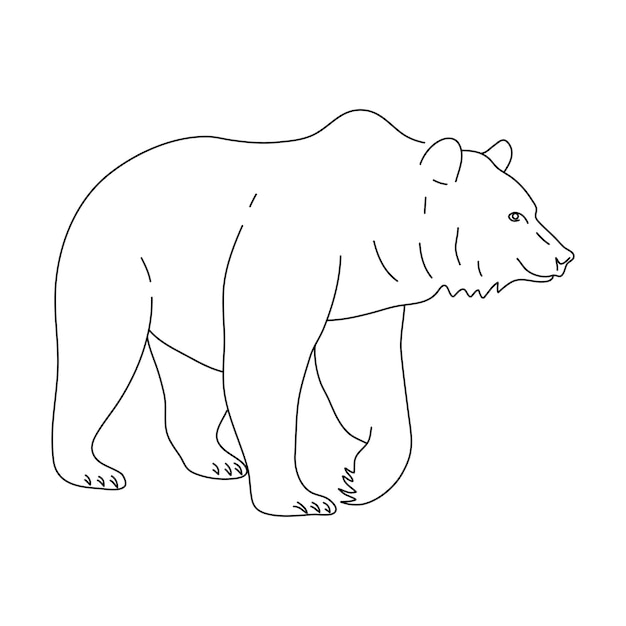 Premium Vector | Sketch of brown bear drawn by hand vector hand drawn ...