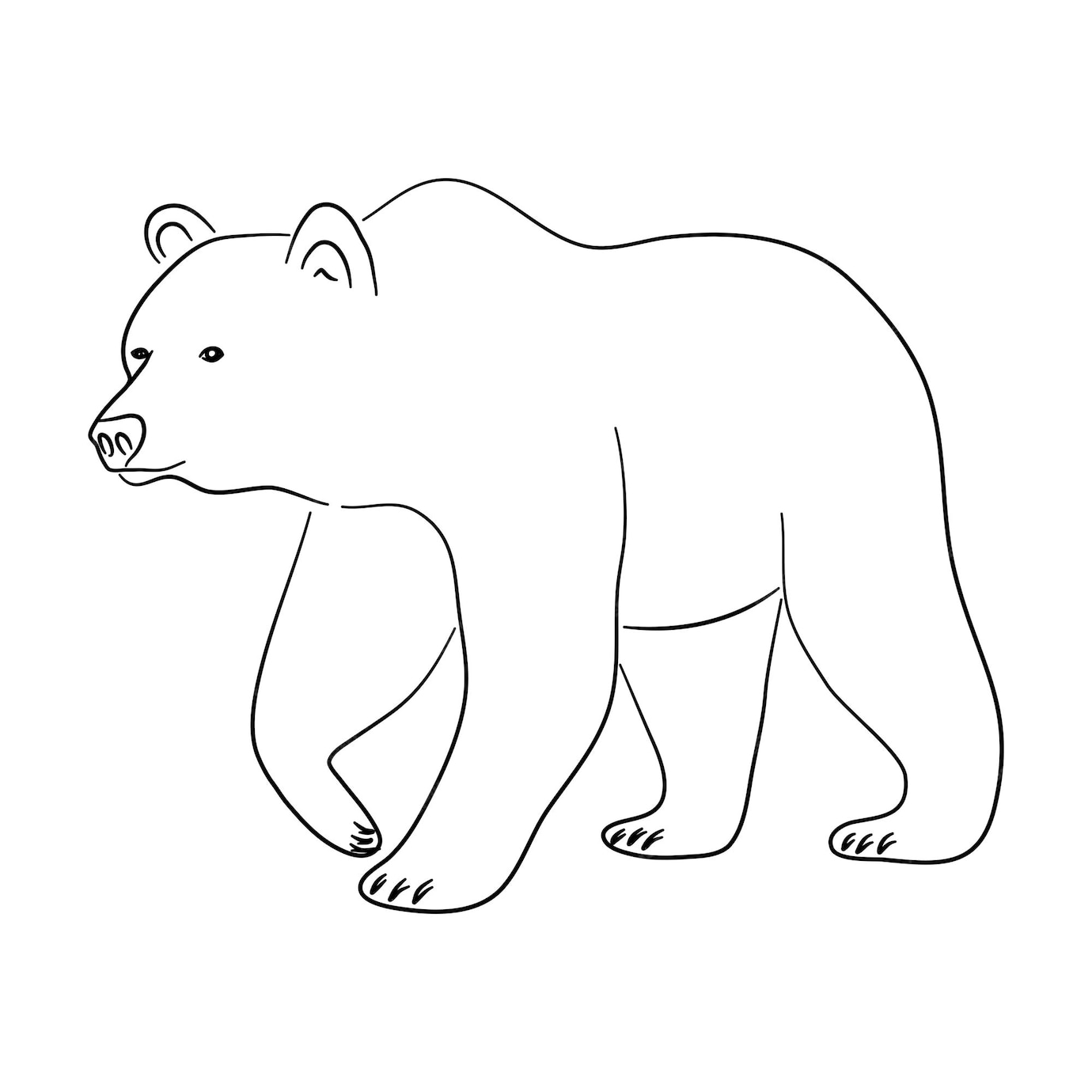 Premium Vector | Sketch drawing of a brown bear isolated on a white ...