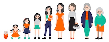 Premium Vector | Woman in different age. From child to old person ...