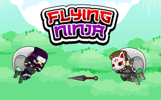 Flying Ninja game cover