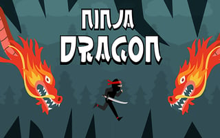 Ninja Dragon game cover