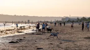 North Beach at Coronado