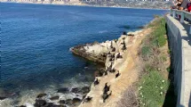 La Jolla Shores Beach vs La Jolla Cove