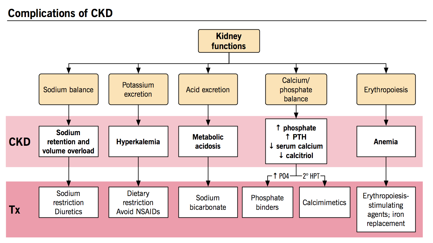 Chronic Kidney Disease Pathophysiology image.