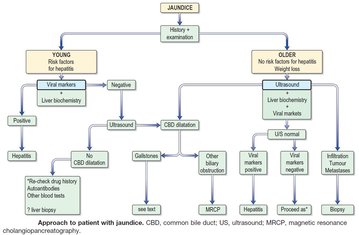 Neonatal Jaundice Indirect Hyperbilirubinemia Of The - vrogue.co