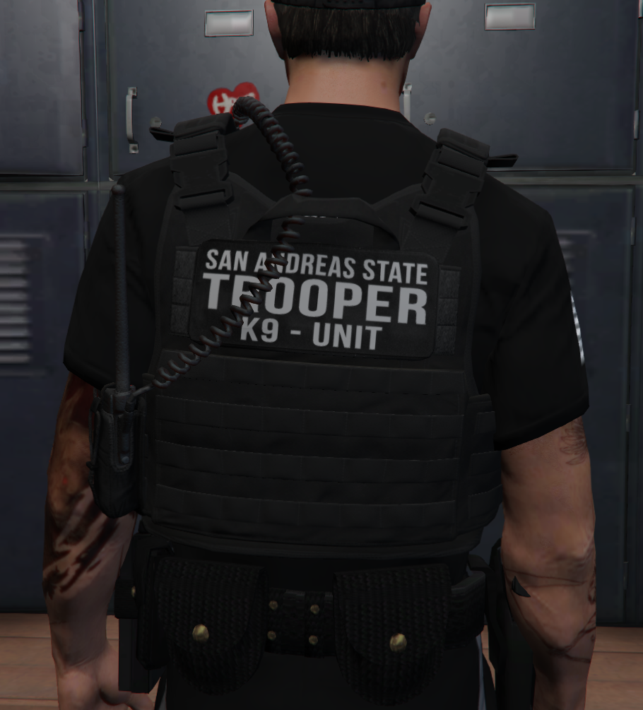 Fivem Police Vest