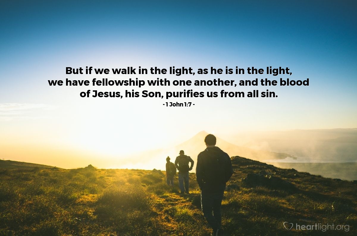 Illustration of 1 John 1:7 — But if we walk in the light, as he is in the light, we have fellowship with one another, and the blood of Jesus, his Son, purifies us from all sin.