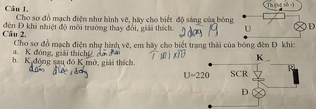 10 Bóng đèn ý tưởng  bóng đèn bản vẽ bằng mực mandala art