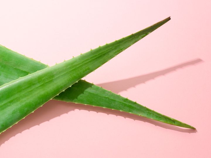 Aloe-based lubricants have become popular with brands like Dame Products, Maude and Unbound Babes.They are technically water-based, but also include a combination of natural ingredients.