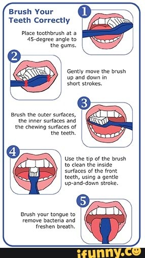 Brush Your Teeth Correctly Place toothbrush at 