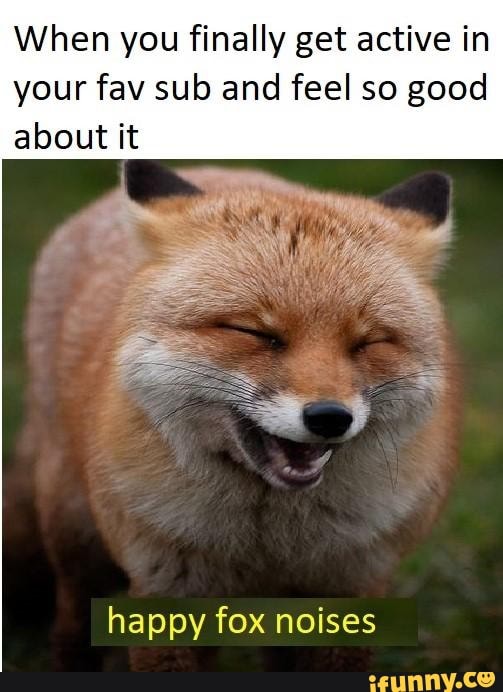 When you finally get active in your fav sub and feel so good happy fox  noises - iFunny