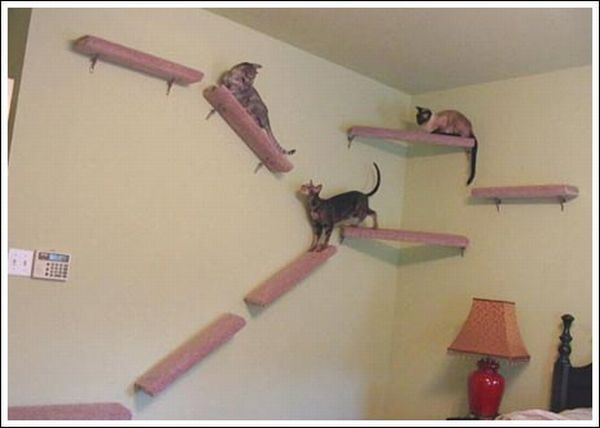 Cool wall stairs for cats (36 pics)