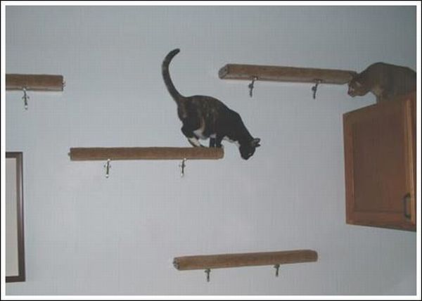 Cool wall stairs for cats (36 pics)