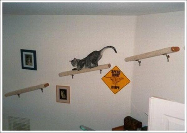 Cool wall stairs for cats (36 pics)