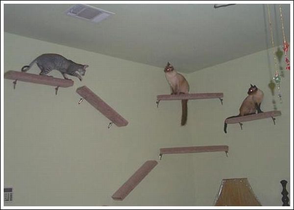 Cool wall stairs for cats (36 pics)