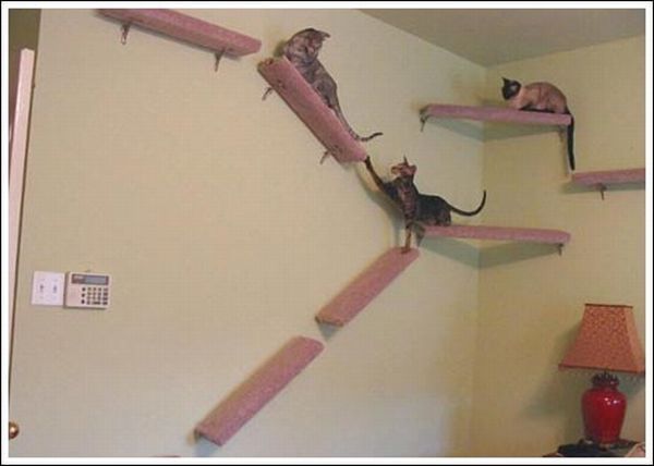 Cool wall stairs for cats (36 pics)