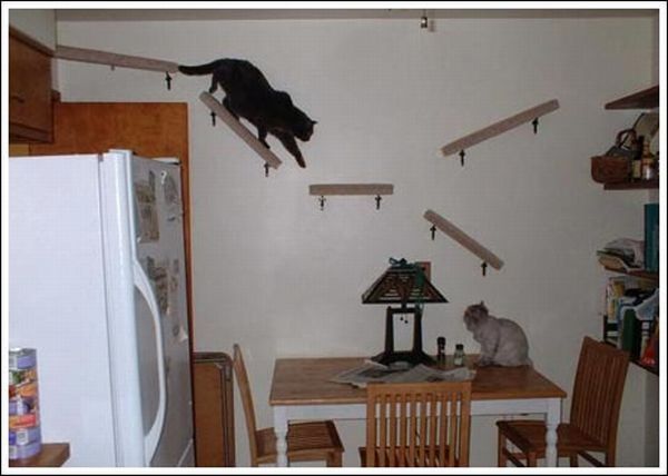 Cool wall stairs for cats (36 pics)