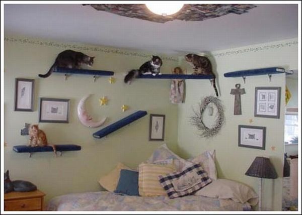 Cool wall stairs for cats (36 pics)