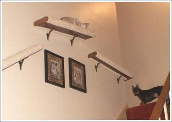 Cool wall stairs for cats (36 pics)