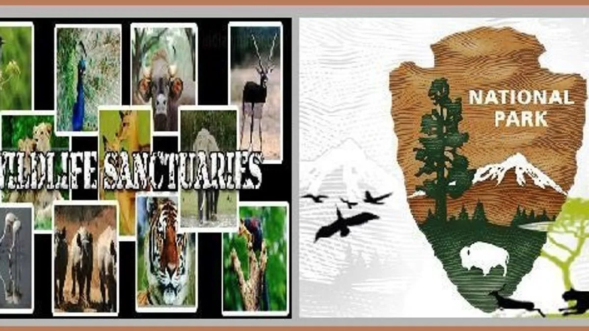 Wildlife Sanctuaries and National Parks