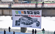 Activists protest cruelty against fish at Hwacheon Sancheoneo Ice Festival 