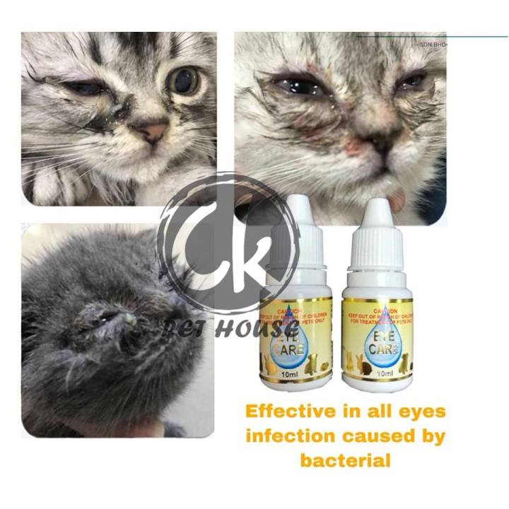 Eye Care Drop / Ubat Mata Kucing (Cat, Dog, Small Animal) 10ML