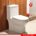 GV 211p 2in1 Dual Flush Water Closet Toilet Bowl with Basin (FAUCET NOT INCLUDED). 