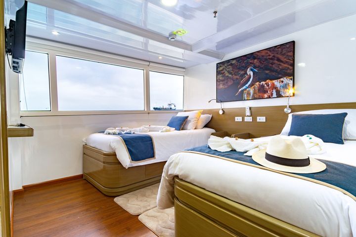 Main Deck Cabins