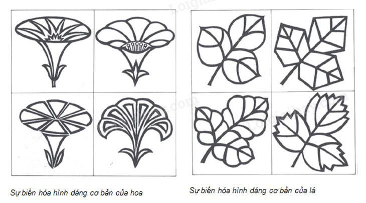 Thử ngay Vẽ hoạ tiết lớp 7 với những ý tưởng tuyệt vời