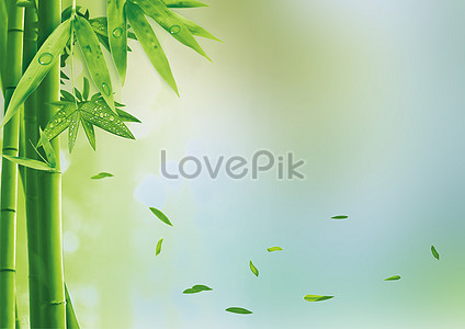 Bamboo Background Images, 1000+ Free Banner Background Photos Download -  Lovepik