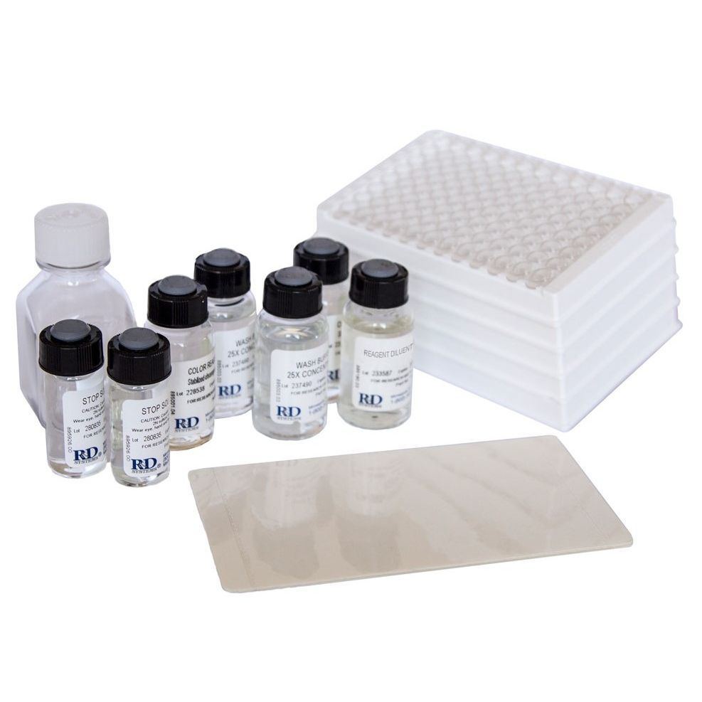 Solution reagent kit - DY999B - R&D Systems - for research / for ELISA